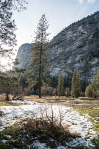 Yosemite Park - voyager en van 