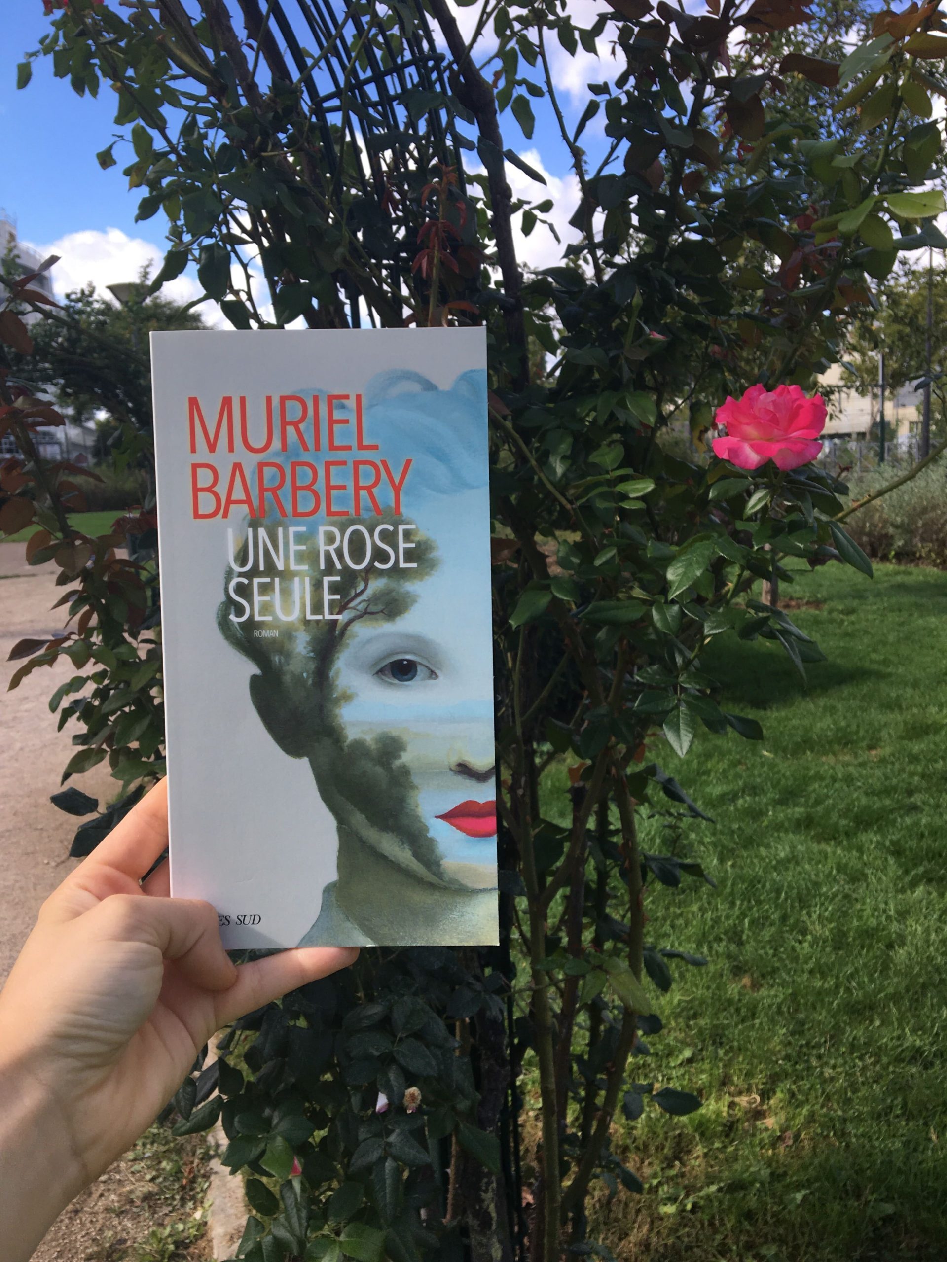A Single Rose by Muriel Barbery
