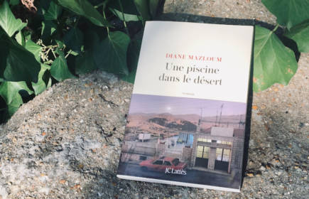 Une piscine dans le désert : nouveau roman de Diane Mazloum