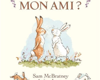 veux-tu etre mon ami : nouveau livre enfant sam mcbratney